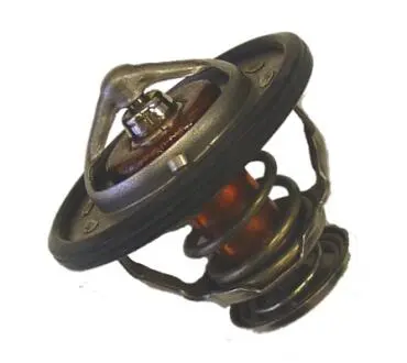 Термостат WAHLER 41023182D