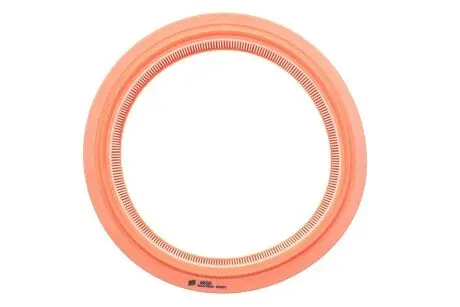 Фильтр воздушный FIAT PUNTO AR232/1/ (выр-во WIX-FILTERS) WIX FILTERS WA6586