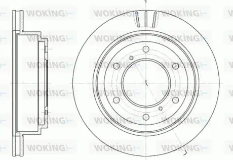 Тормозной диск задний Mitsubishi Pajero 2.5-3.8 00- (300x22) WOKING D6955.10