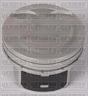 Поршень с кольцами і пальцем (размер отв. 77 / STD) (G4FA) YENMAK 36-04490-000