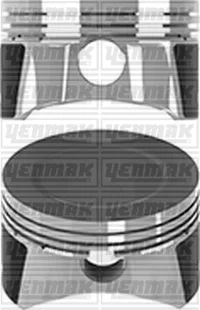Поршень с кольцами і пальцем (размер отв. 79,00/STD) FORD Focus, C-Max, Fusion, 1.6 -10 (1.6 ZETEC-S) бенз. YENMAK 36-04950-000
