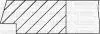 Кольца поршневые Ford Transit 2.5D/TD (93.67mm/STD) (2.5-2-4) YENMAK 9109420000 (фото 2)