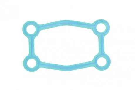 Прокладання коробки передач ZF 0501318308