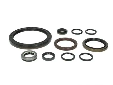 Набір прокладок КПП ZF 1315298002