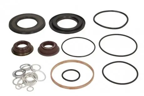 Комп-кт ущільнень КПП ZF 1325298011